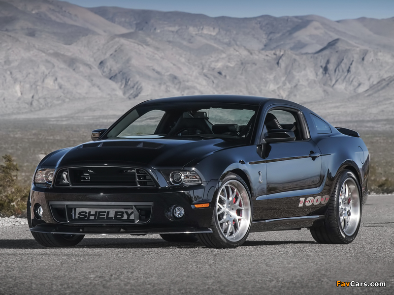 Shelby 1000 S/C 2013 wallpapers (800 x 600)