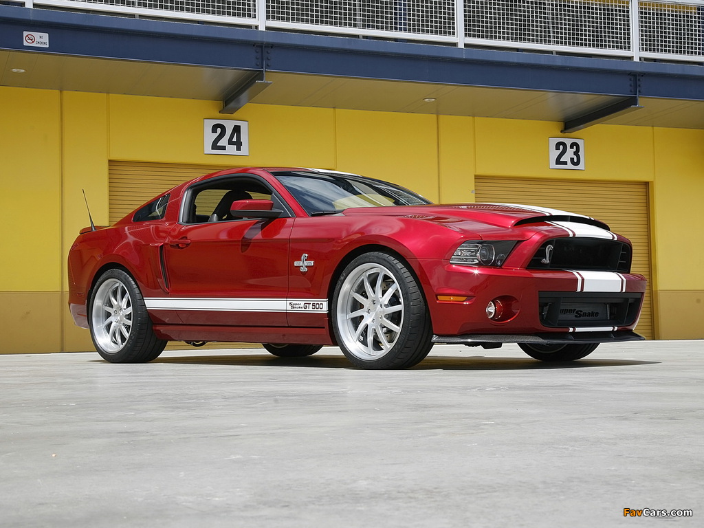 Shelby GT500 Super Snake 2013–14 wallpapers (1024 x 768)