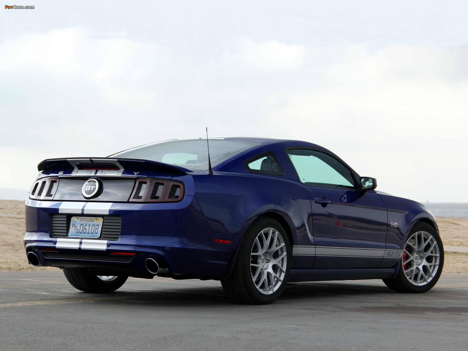Shelby GT/SC 2014 pictures (1600 x 1200)