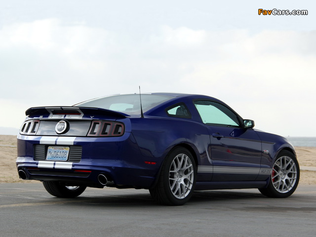 Shelby GT/SC 2014 pictures (640 x 480)