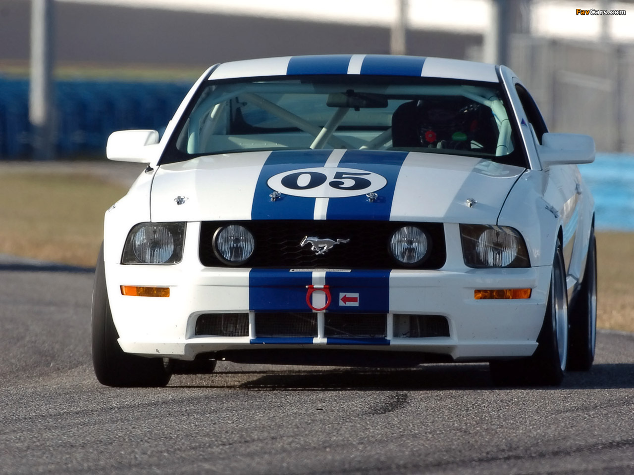 Mustang Race Car 2005–09 pictures (1280 x 960)