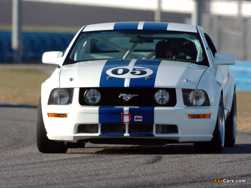 Mustang Race Car 2005–09 pictures (800 x 600)