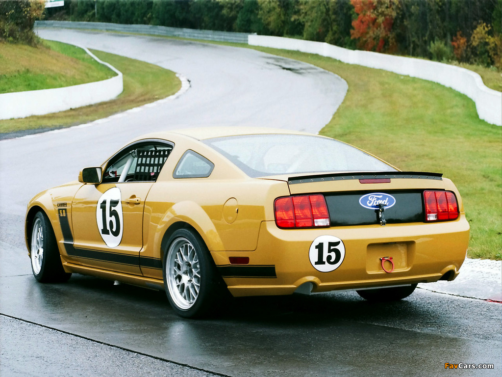 Mustang Race Car 2005–09 pictures (1024 x 768)