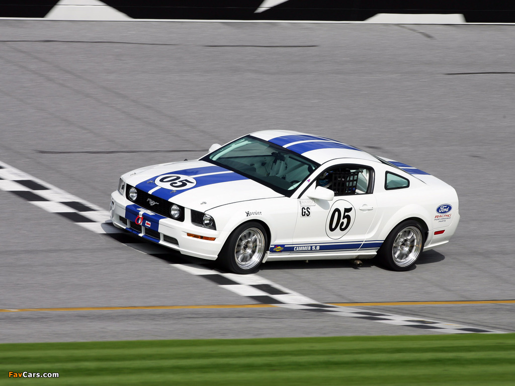 Mustang Race Car 2005–09 wallpapers (1024 x 768)