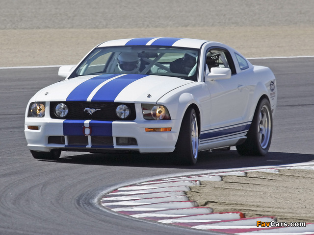 Mustang Race Car 2005–09 images (640 x 480)