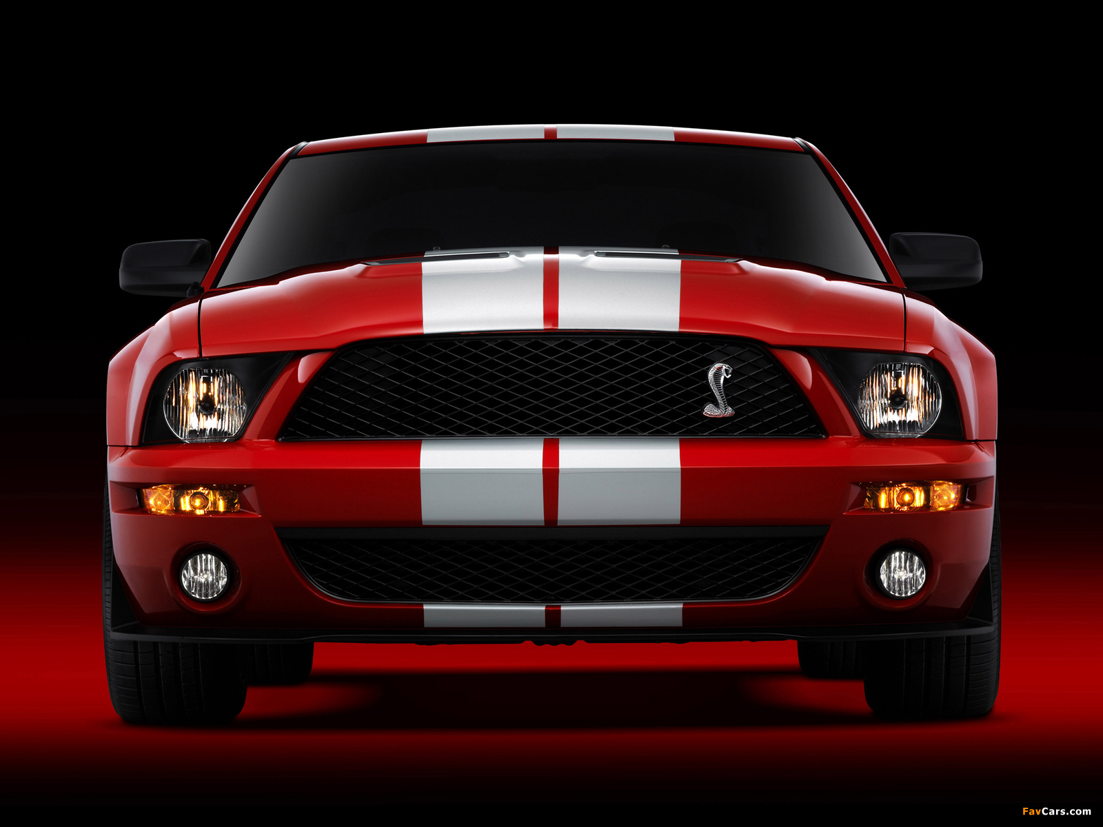 Photos of Shelby GT500 2005–08 (1600 x 1200)