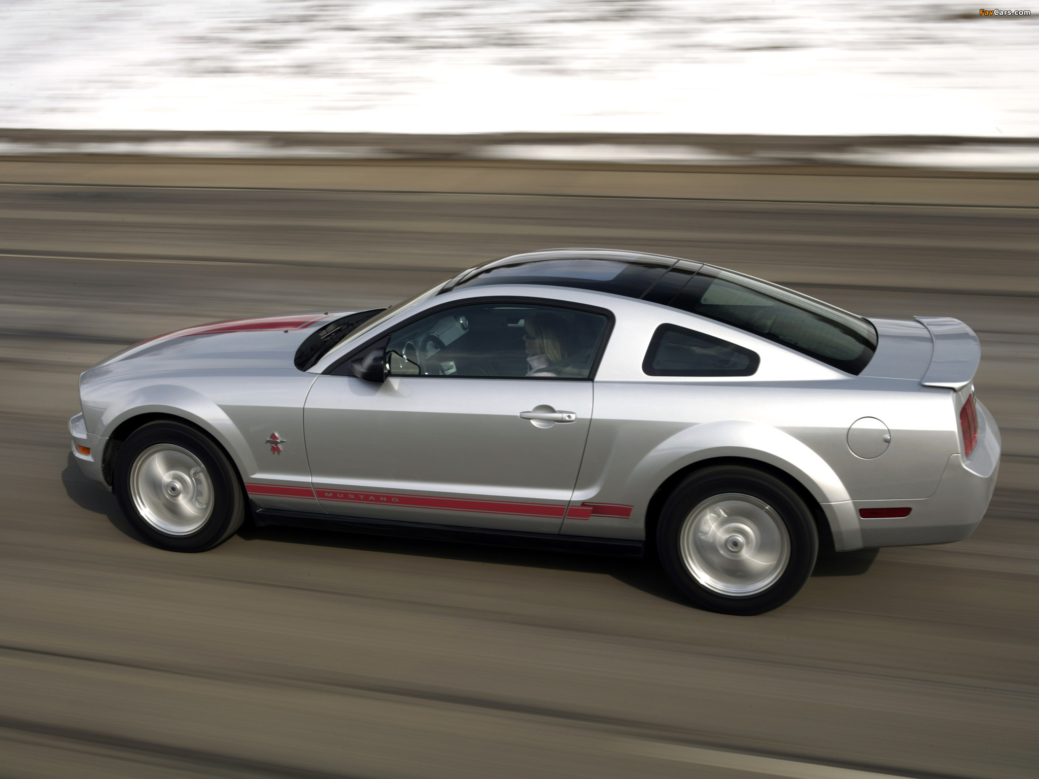 Photos of Mustang Coupe Warriors in Pink 2008 (2048 x 1536)