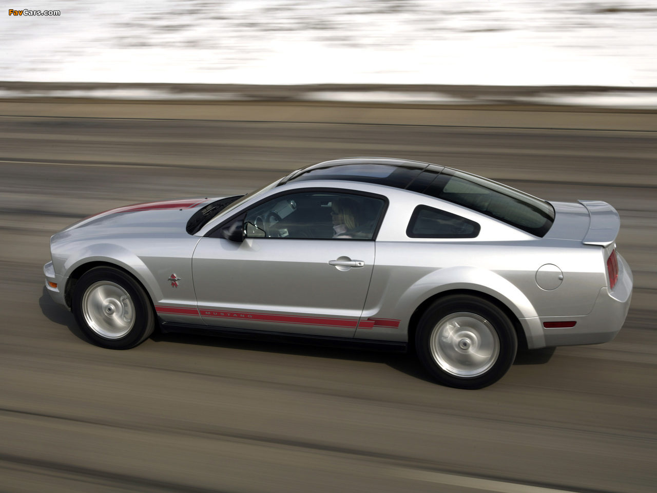 Photos of Mustang Coupe Warriors in Pink 2008 (1280 x 960)