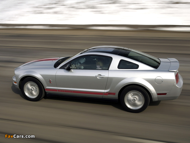 Photos of Mustang Coupe Warriors in Pink 2008 (640 x 480)