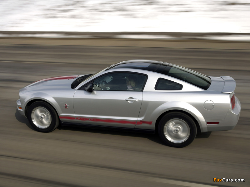 Photos of Mustang Coupe Warriors in Pink 2008 (800 x 600)