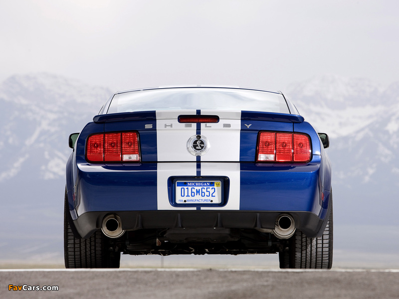 Photos of Shelby GT500 KR 40th Anniversary 2008 (800 x 600)