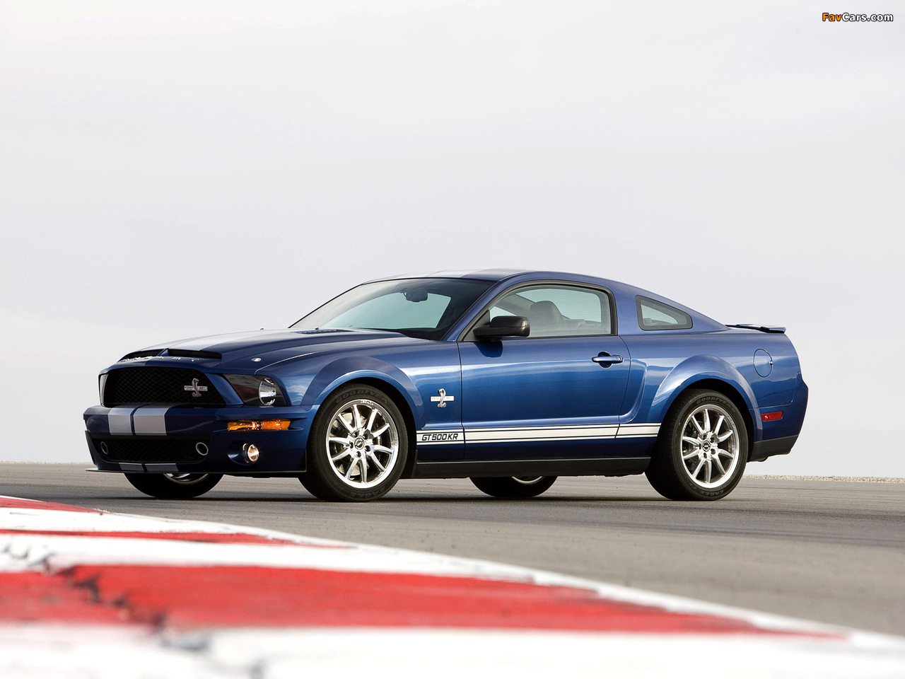 Photos of Shelby GT500 KR 40th Anniversary 2008 (1280 x 960)