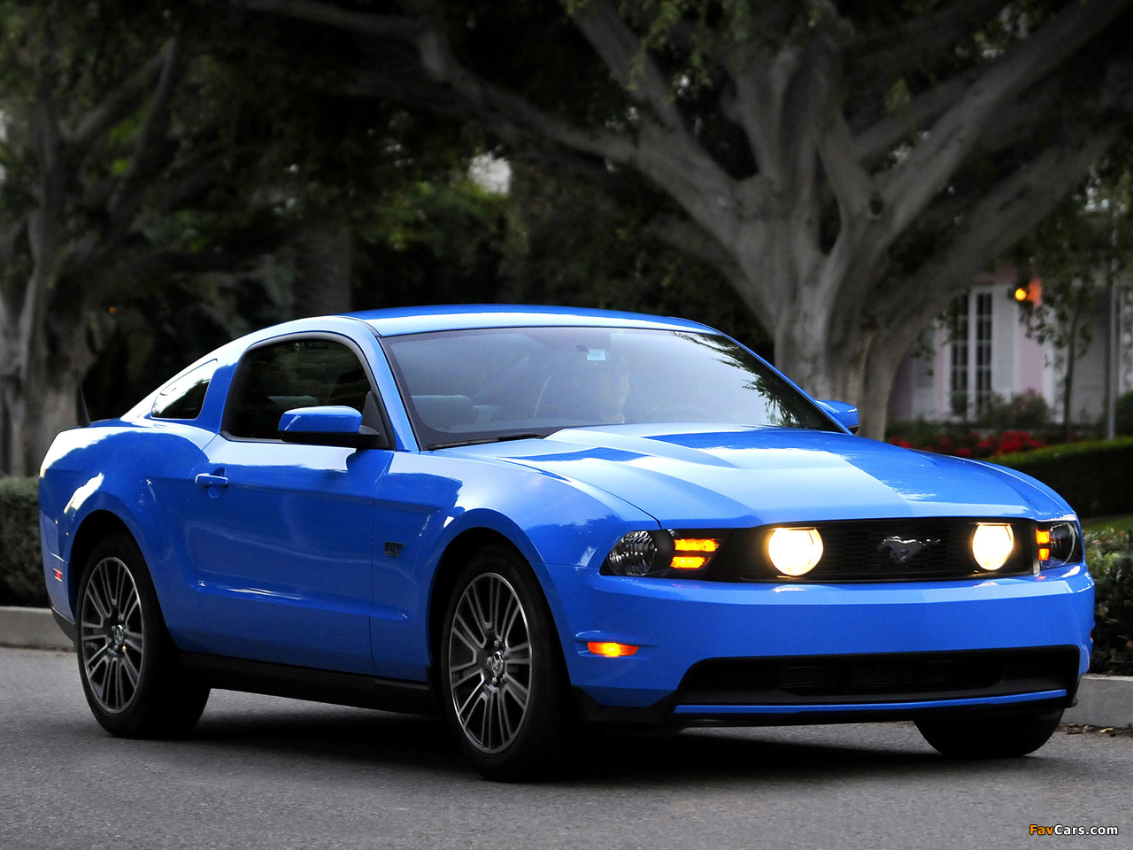 Photos of Mustang GT 2009–10 (1280 x 960)