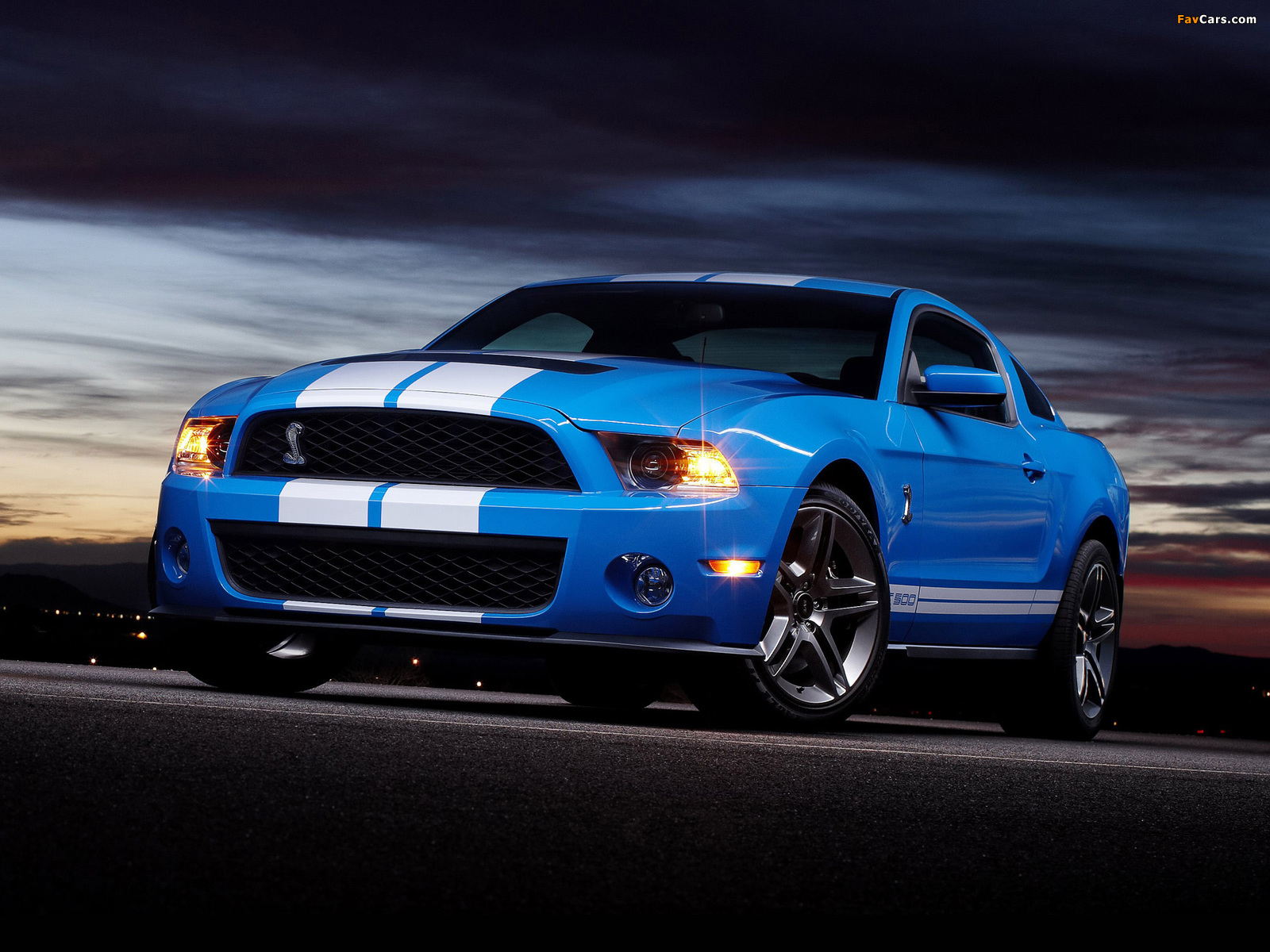 Photos of Shelby GT500 2009–10 (1600 x 1200)