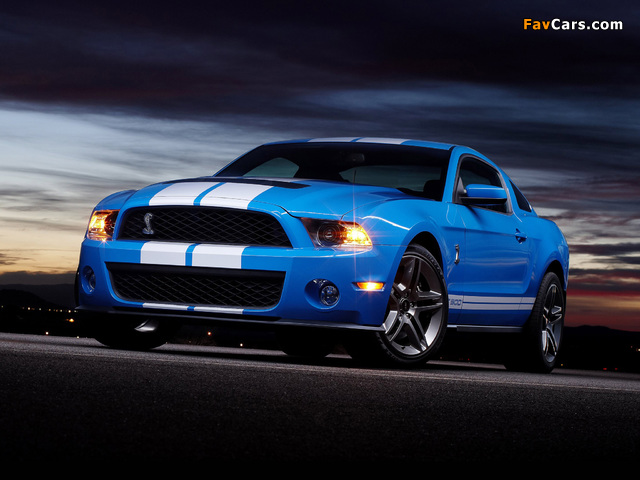 Photos of Shelby GT500 2009–10 (640 x 480)