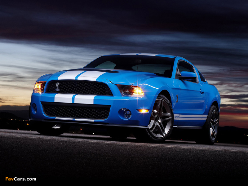 Photos of Shelby GT500 2009–10 (800 x 600)