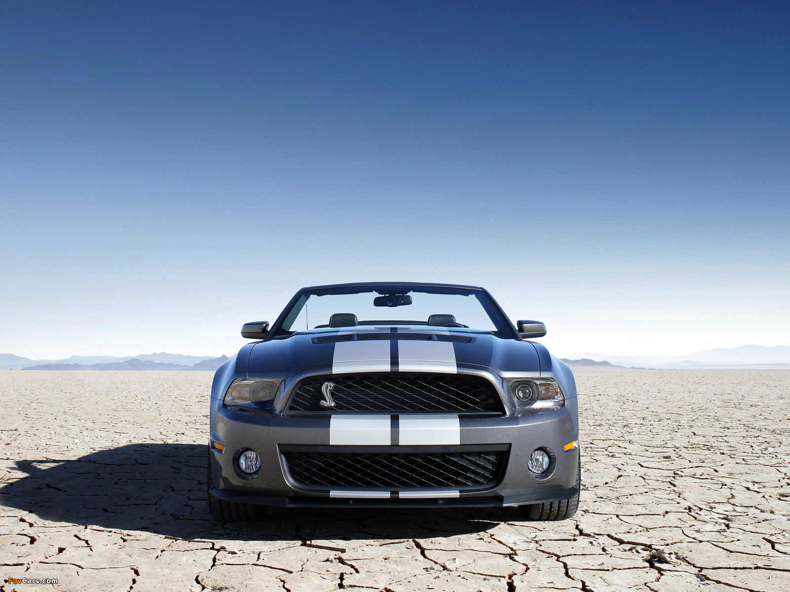 Photos of Shelby GT500 Convertible SVT 2009–10 (1600 x 1200)