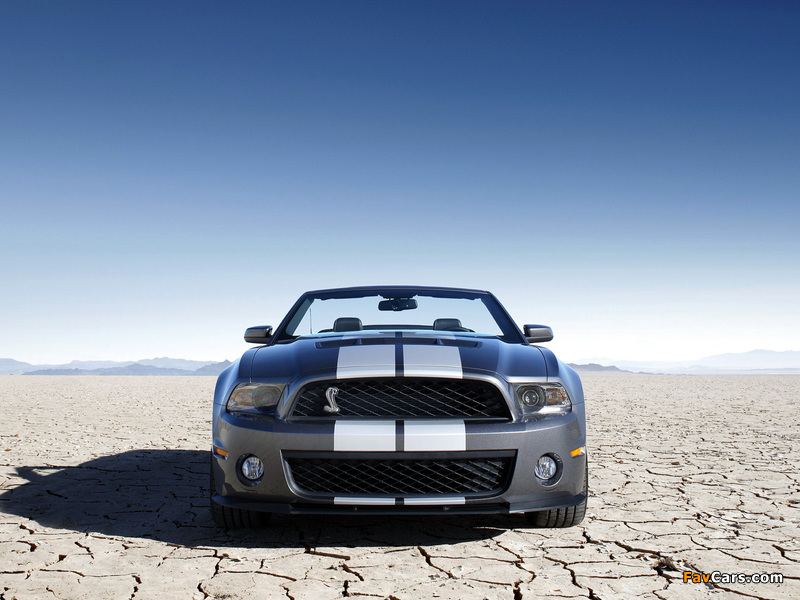Photos of Shelby GT500 Convertible SVT 2009–10 (800 x 600)