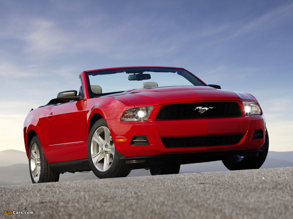 Photos of Mustang Convertible 2009–12 (1024 x 768)