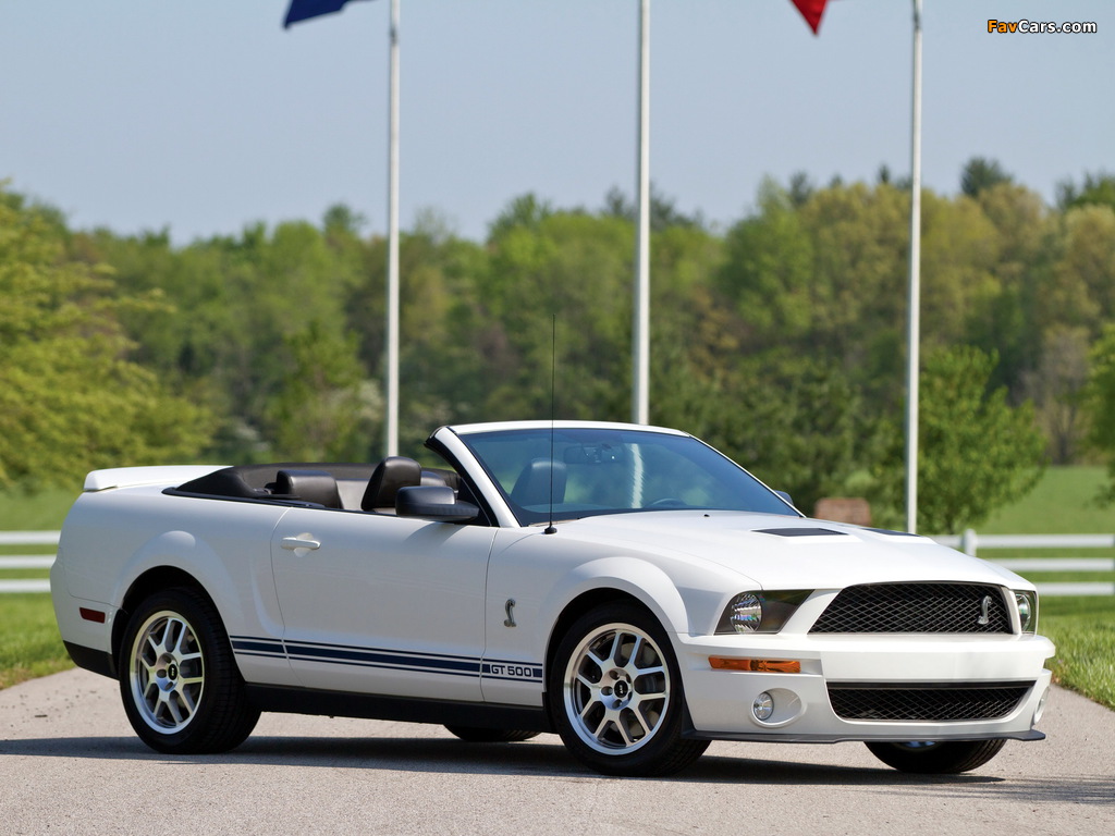 Pictures of Shelby GT500 Convertible 2005–08 (1024 x 768)