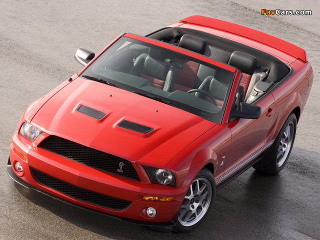 Pictures of Shelby GT500 Convertible 2005–08 (640 x 480)