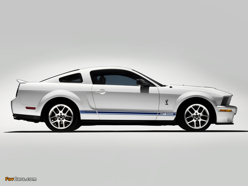 Pictures of Shelby GT500 2005–08 (800 x 600)