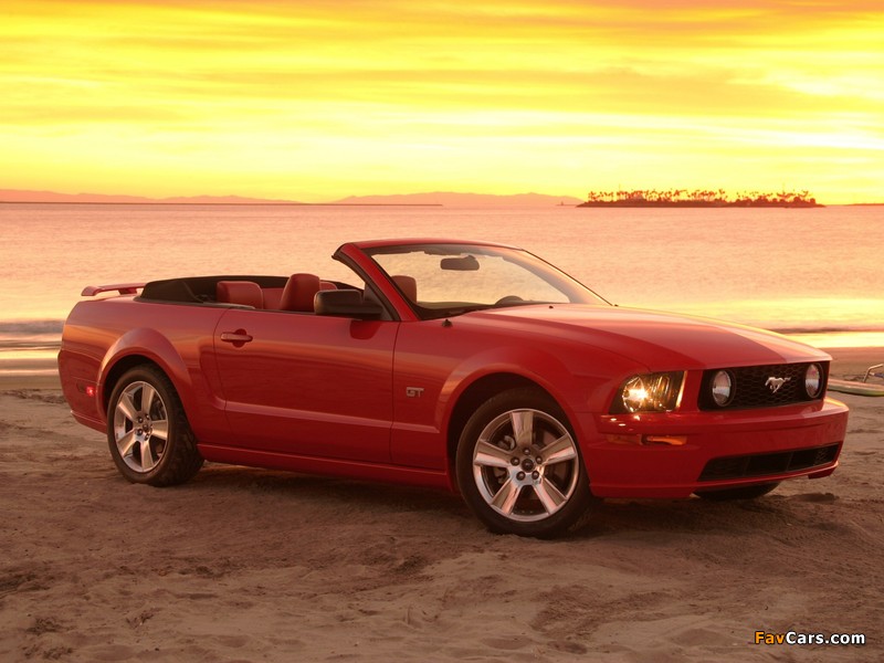 Pictures of Mustang GT Convertible 2005–08 (800 x 600)
