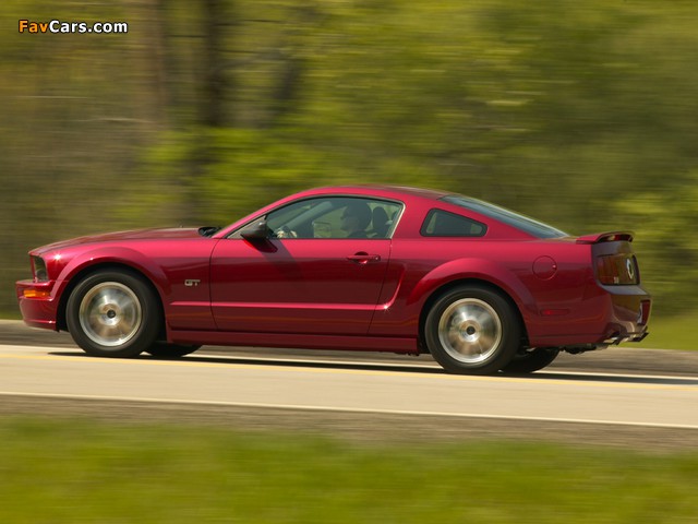 Pictures of Mustang GT 2005–08 (640 x 480)