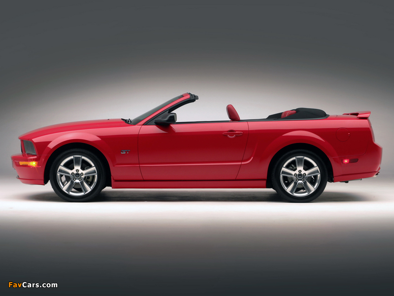 Pictures of Mustang GT Convertible 2005–08 (800 x 600)