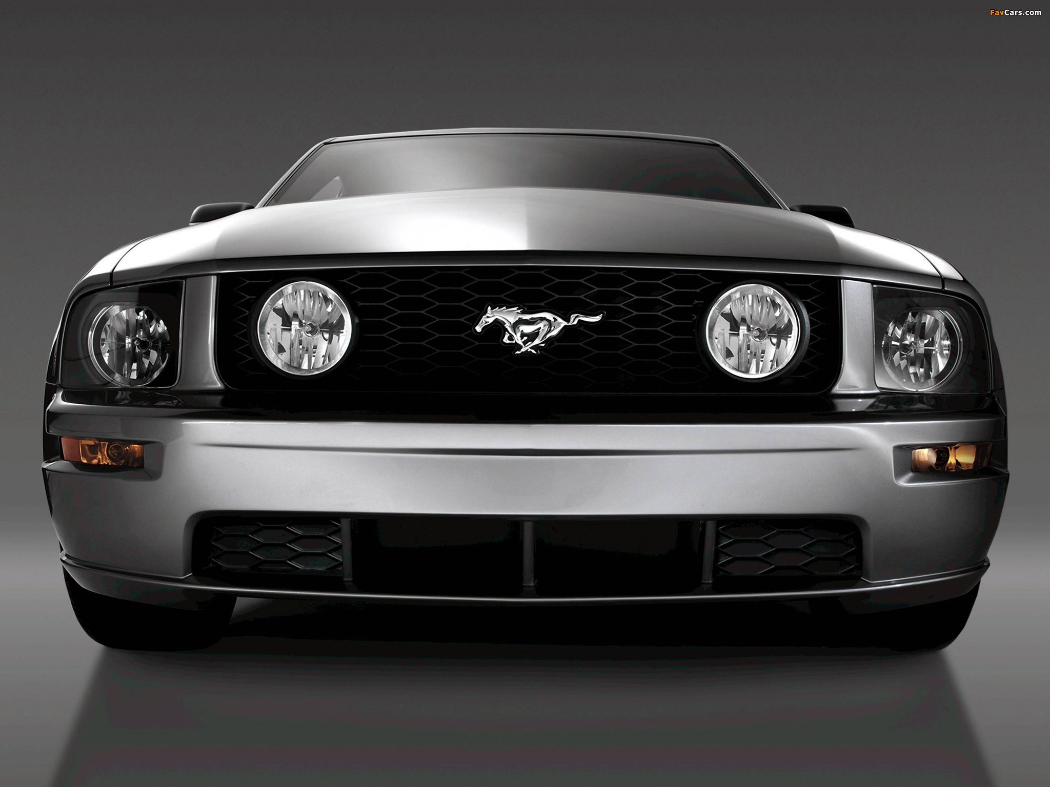 Pictures of Mustang GT 2005–08 (2048 x 1536)