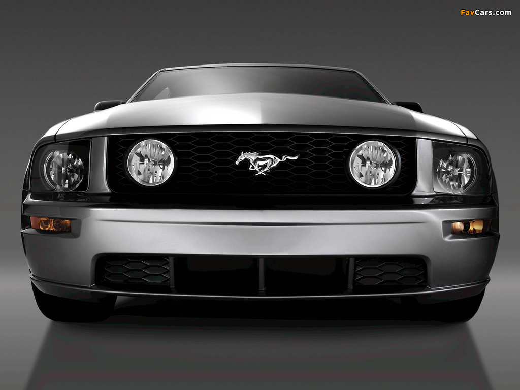 Pictures of Mustang GT 2005–08 (1024 x 768)