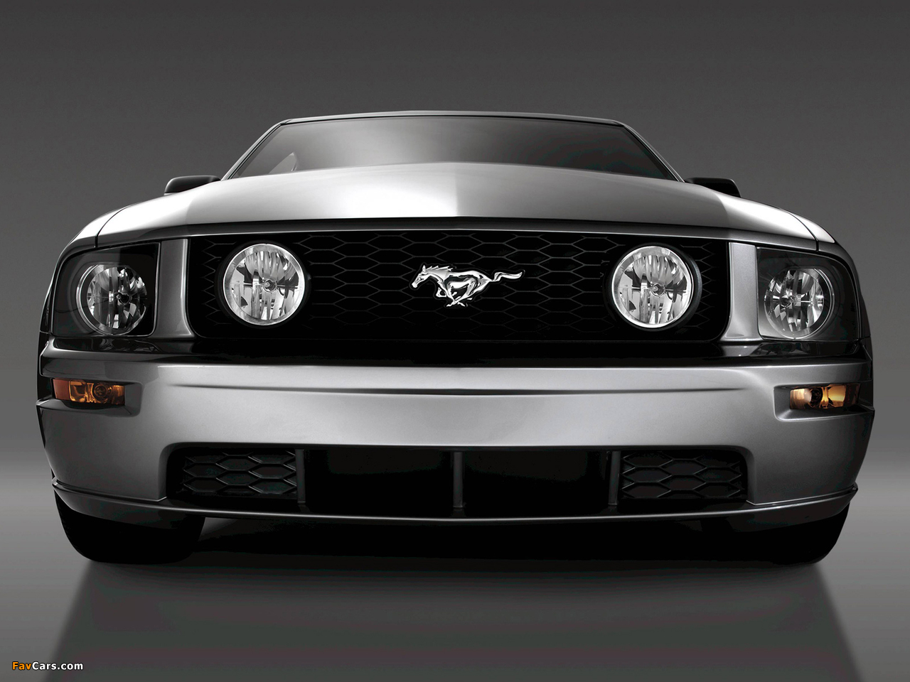 Pictures of Mustang GT 2005–08 (1280 x 960)