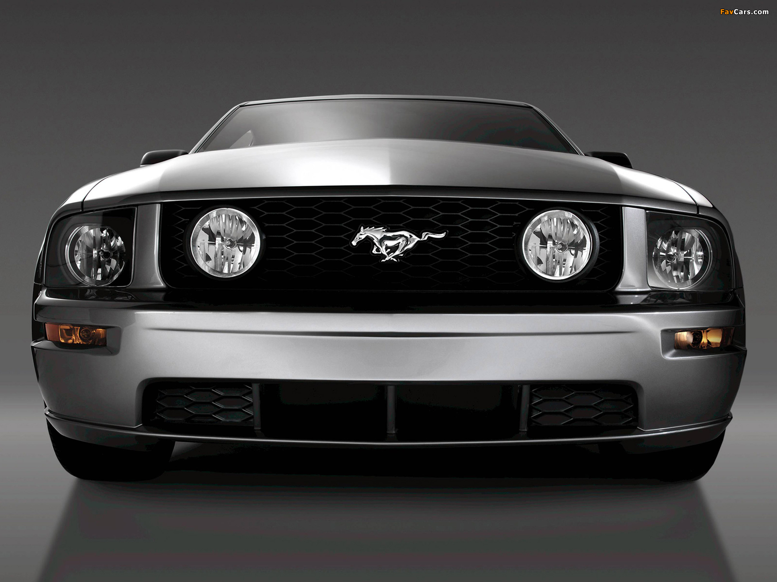 Pictures of Mustang GT 2005–08 (1600 x 1200)