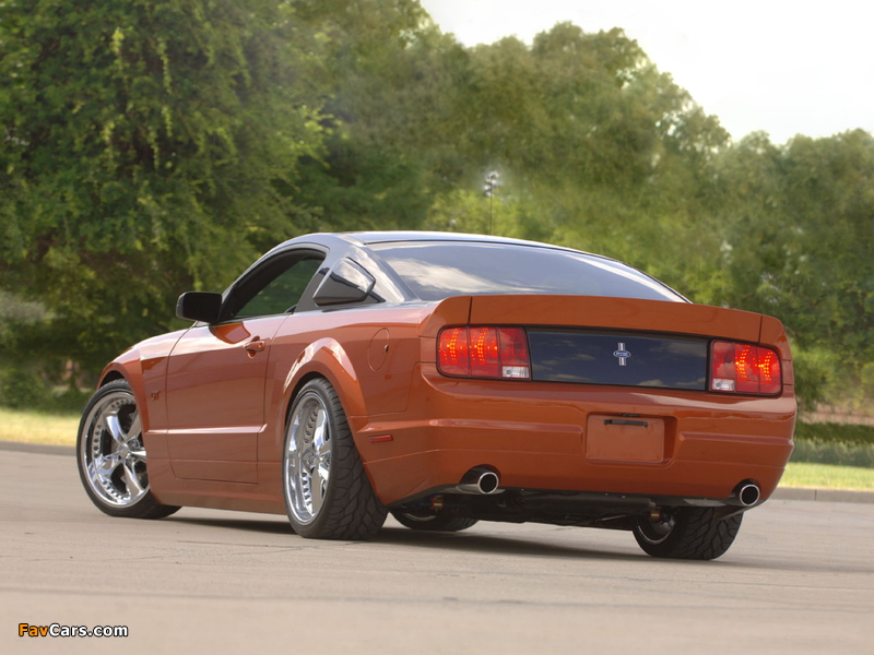 Pictures of Foose Design Mustang Stallion 2006 (800 x 600)