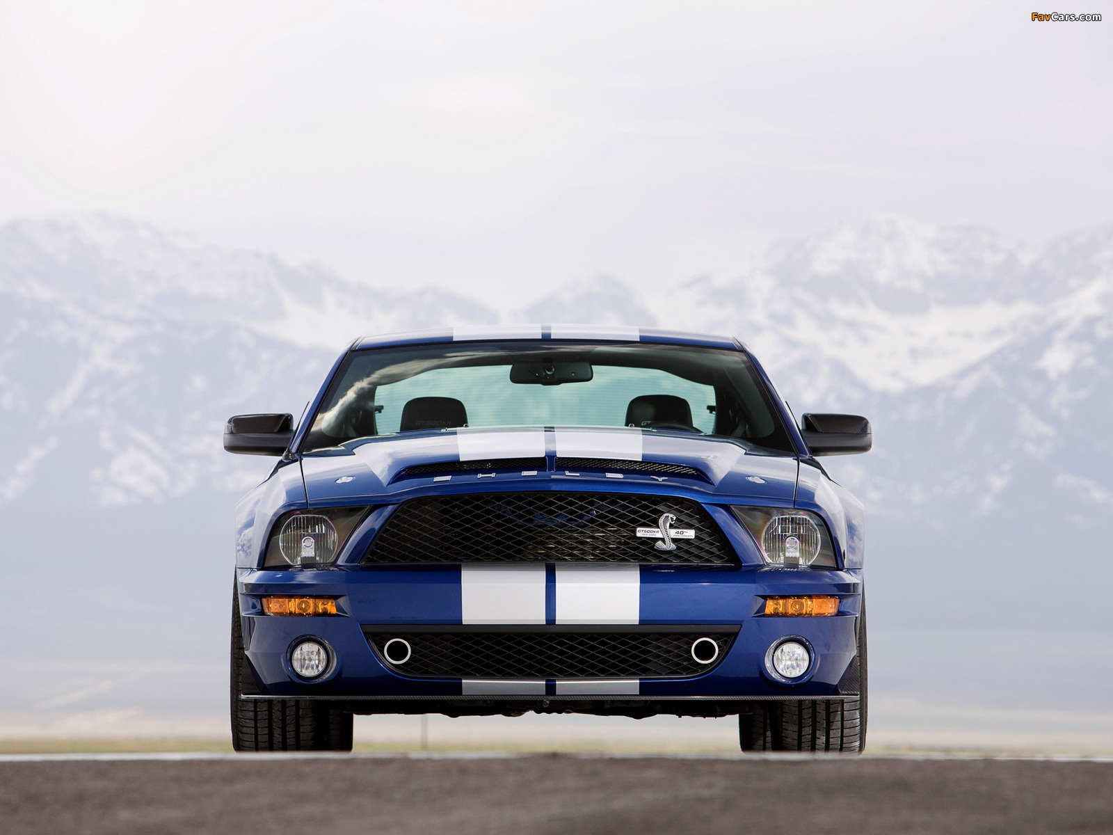 Pictures of Shelby GT500 KR 40th Anniversary 2008 (1600 x 1200)