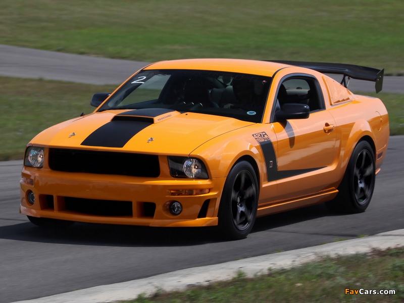 Pictures of Roush 427R Trak Pak 2008 (800 x 600)