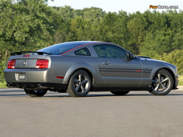 Pictures of Mustang AV8R 2008 (640 x 480)