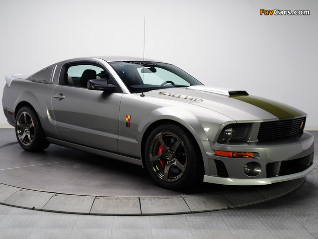 Pictures of Roush P-51B 2009 (640 x 480)