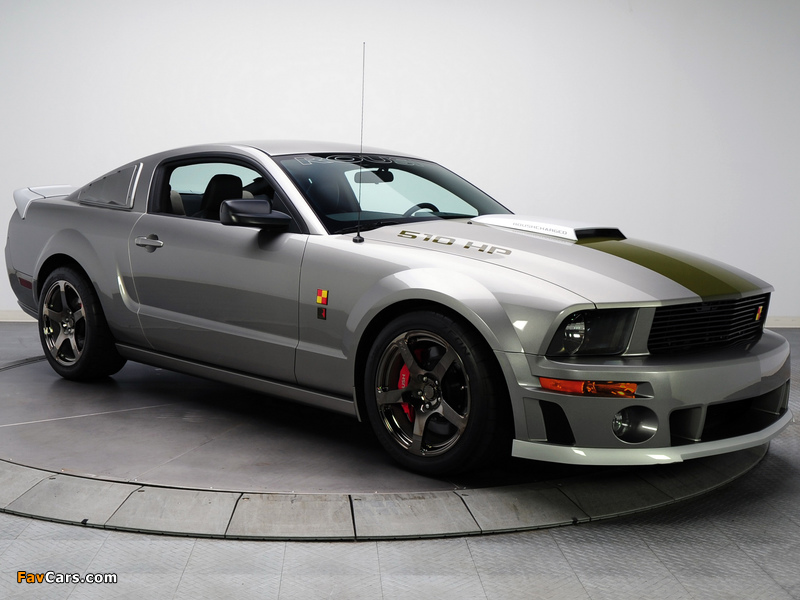 Pictures of Roush P-51B 2009 (800 x 600)