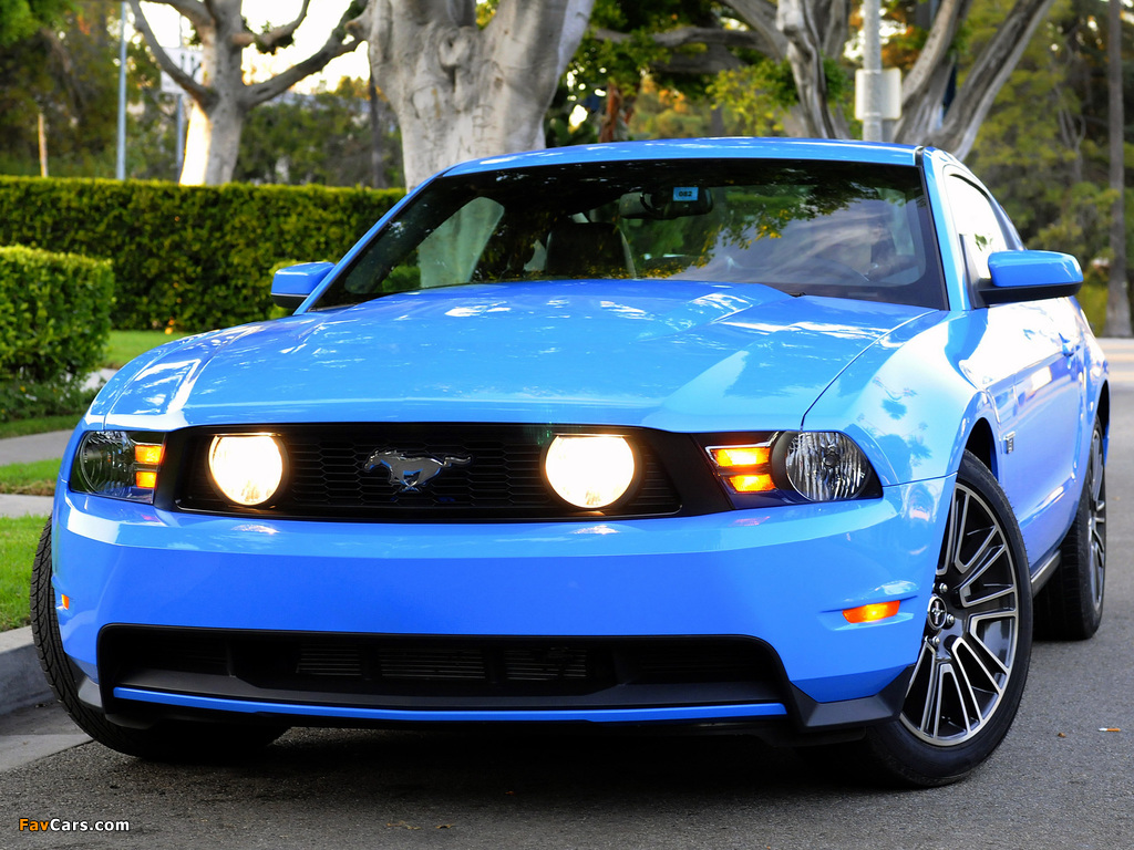 Pictures of Mustang GT 2009–10 (1024 x 768)