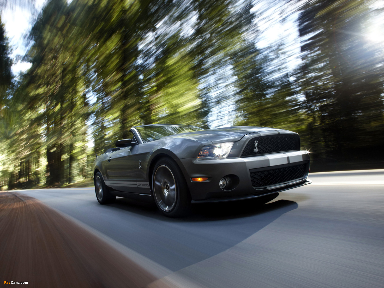 Pictures of Shelby GT500 Convertible SVT 2009–10 (1600 x 1200)
