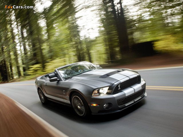 Pictures of Shelby GT500 Convertible SVT 2009–10 (640 x 480)