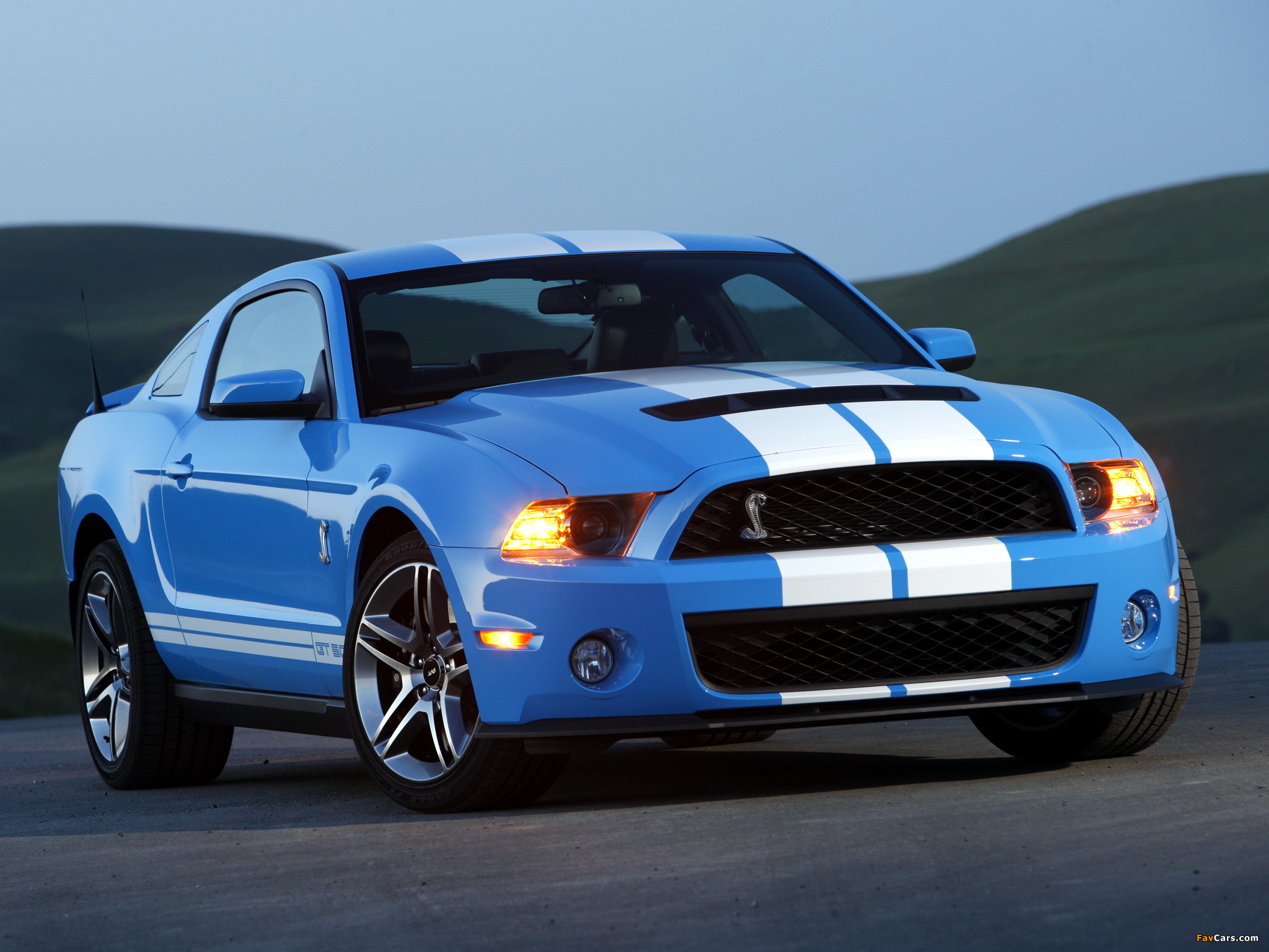 Pictures of Shelby GT500 2009–10 (2048 x 1536)