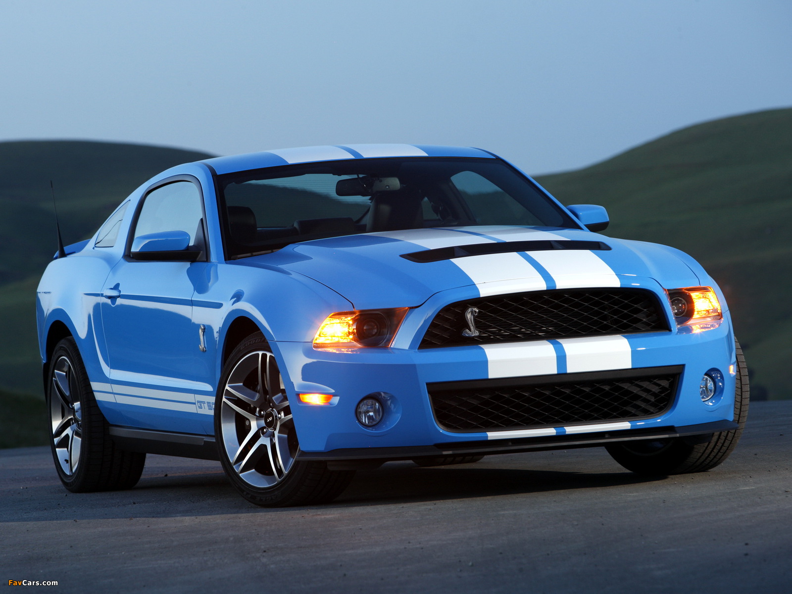 Pictures of Shelby GT500 2009–10 (1600 x 1200)