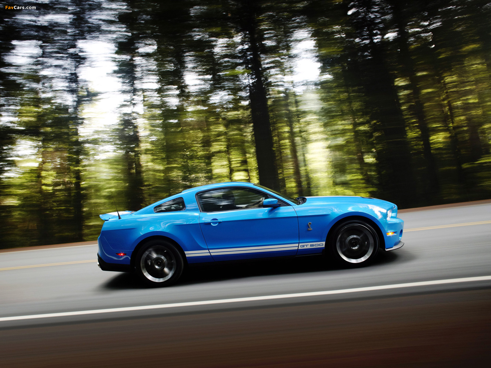 Pictures of Shelby GT500 2009–10 (1600 x 1200)