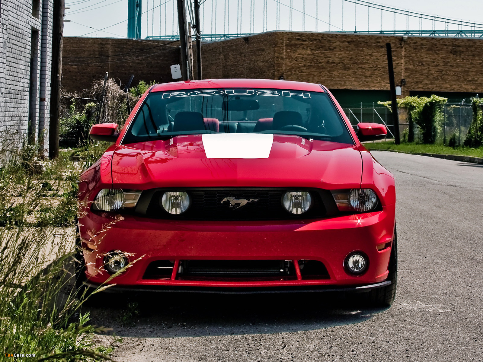 Pictures of Roush 427R 2010 (1600 x 1200)