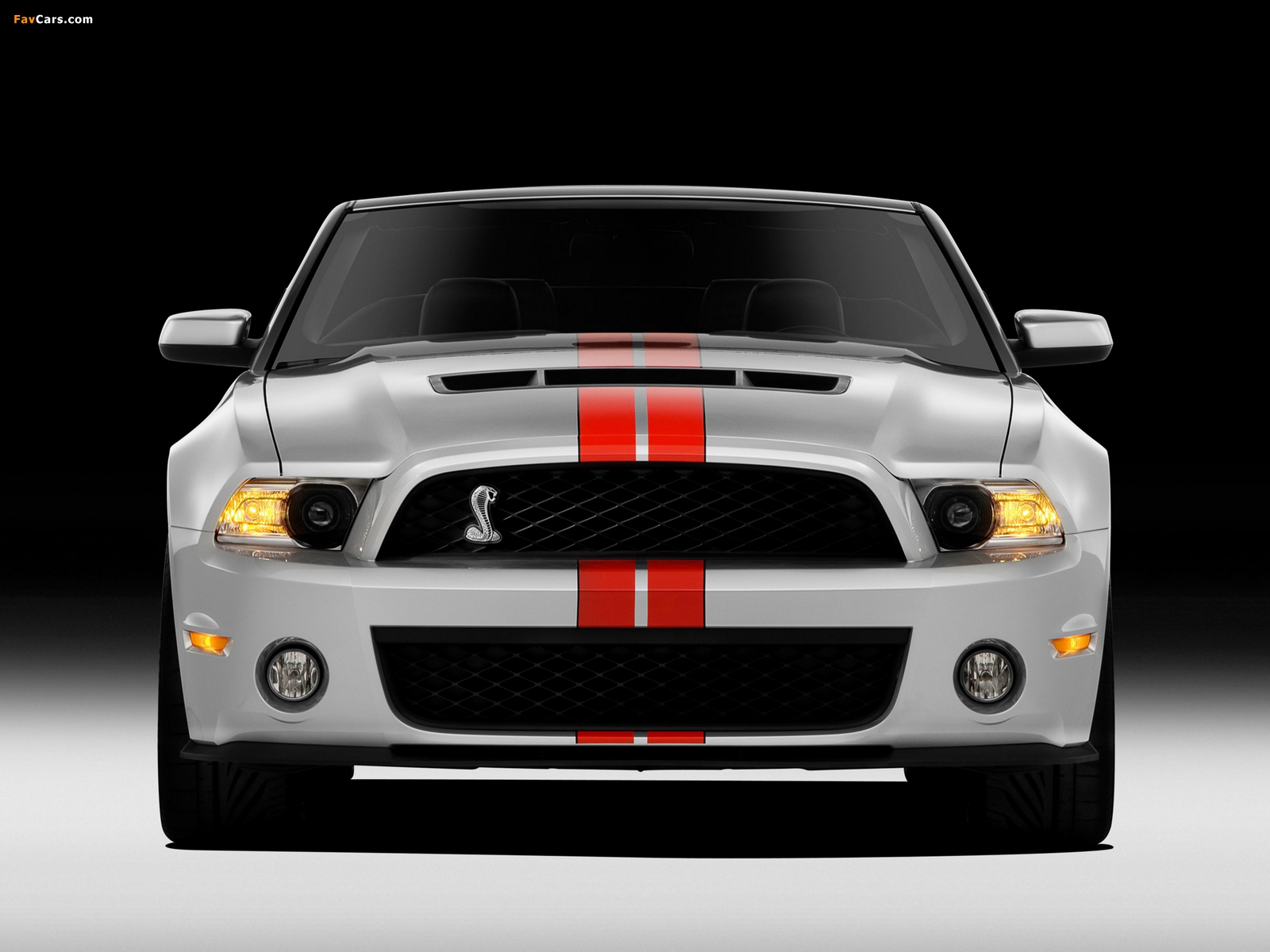 Pictures of Shelby GT500 SVT Convertible 2010–11 (1600 x 1200)