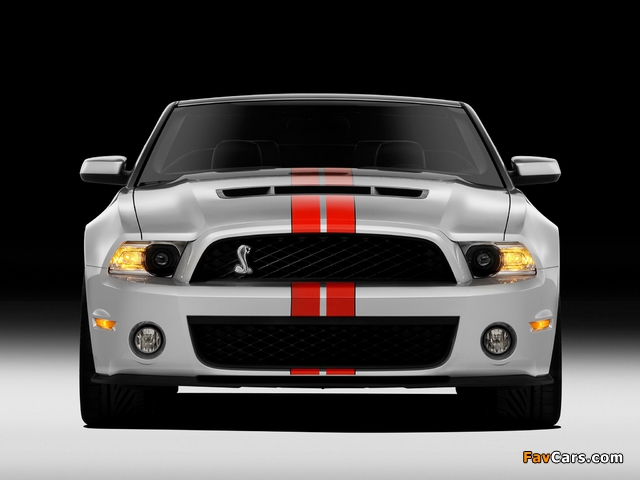 Pictures of Shelby GT500 SVT Convertible 2010–11 (640 x 480)