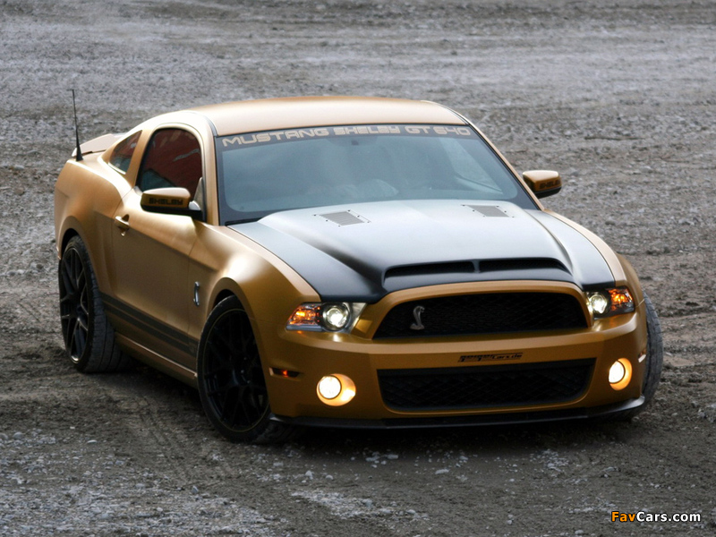 Pictures of Geiger Shelby GT640 Golden Snake 2011 (800 x 600)