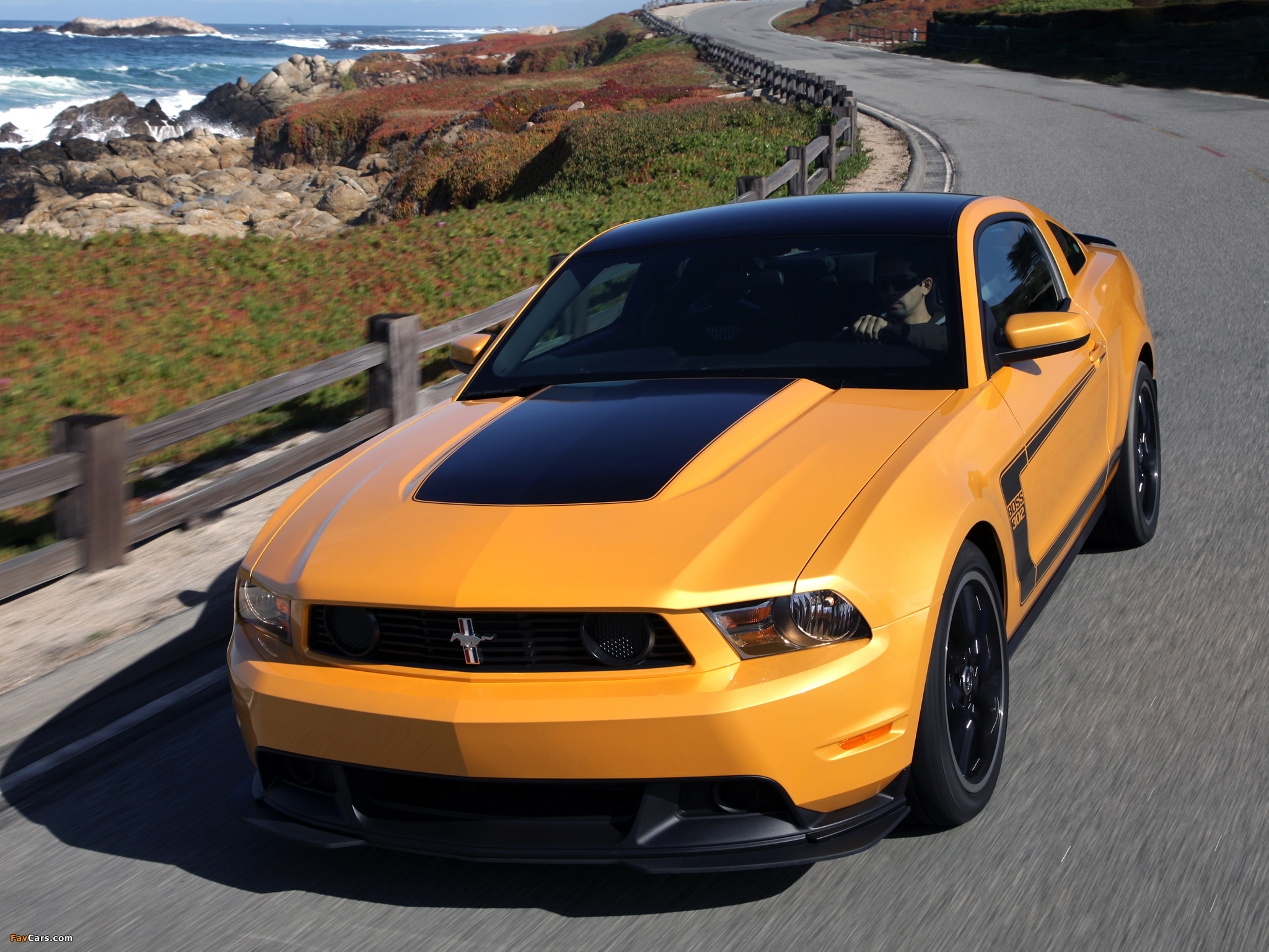 Pictures of Mustang Boss 302 2011–12 (2048 x 1536)